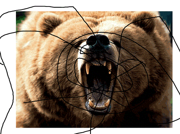 fierce bear growling more